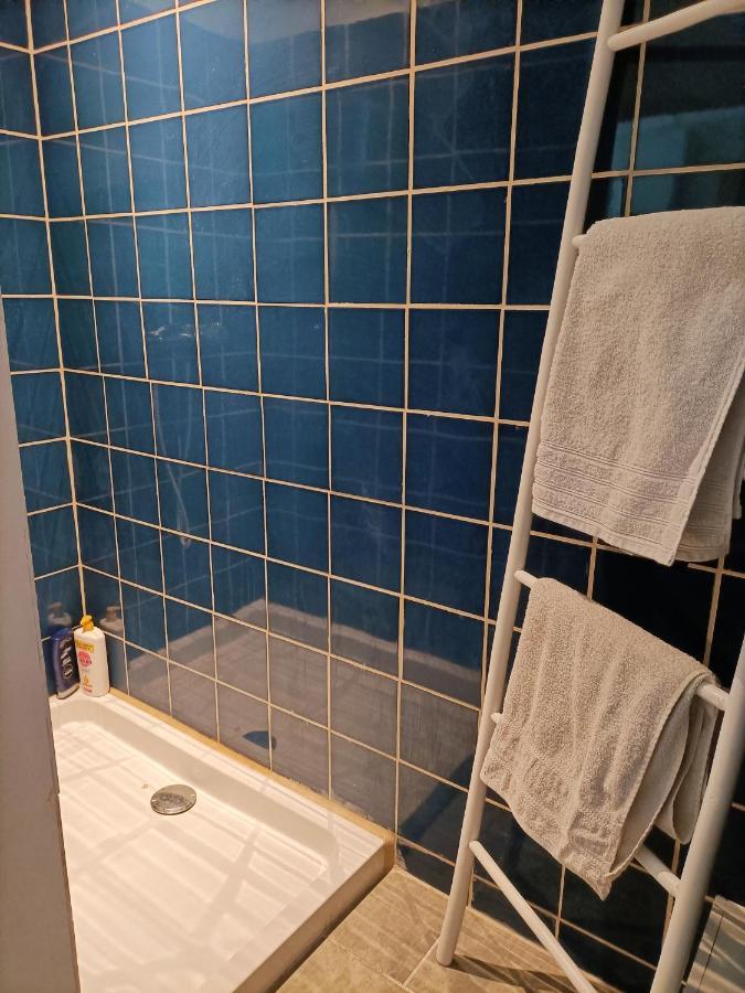 T2 Duplex "Chez Evelyne" Apartment เรอมูแล็งส์ ภายนอก รูปภาพ