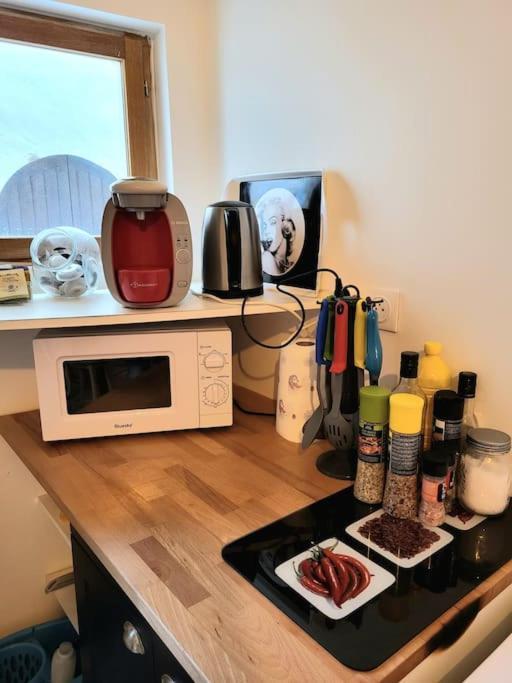 T2 Duplex "Chez Evelyne" Apartment เรอมูแล็งส์ ภายนอก รูปภาพ